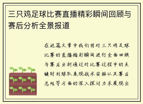 三只鸡足球比赛直播精彩瞬间回顾与赛后分析全景报道